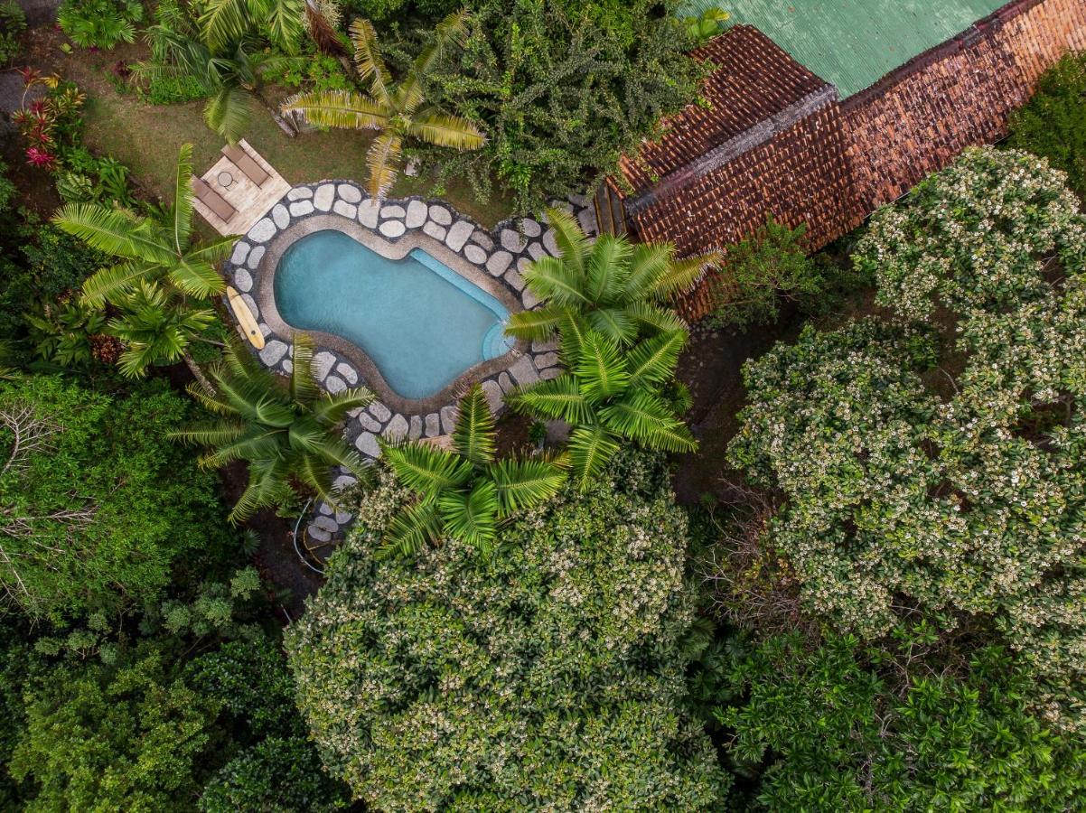 Tiskita Jungle Lodge パボネス エクステリア 写真
