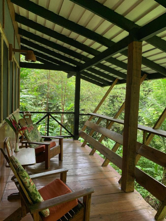 Tiskita Jungle Lodge パボネス エクステリア 写真