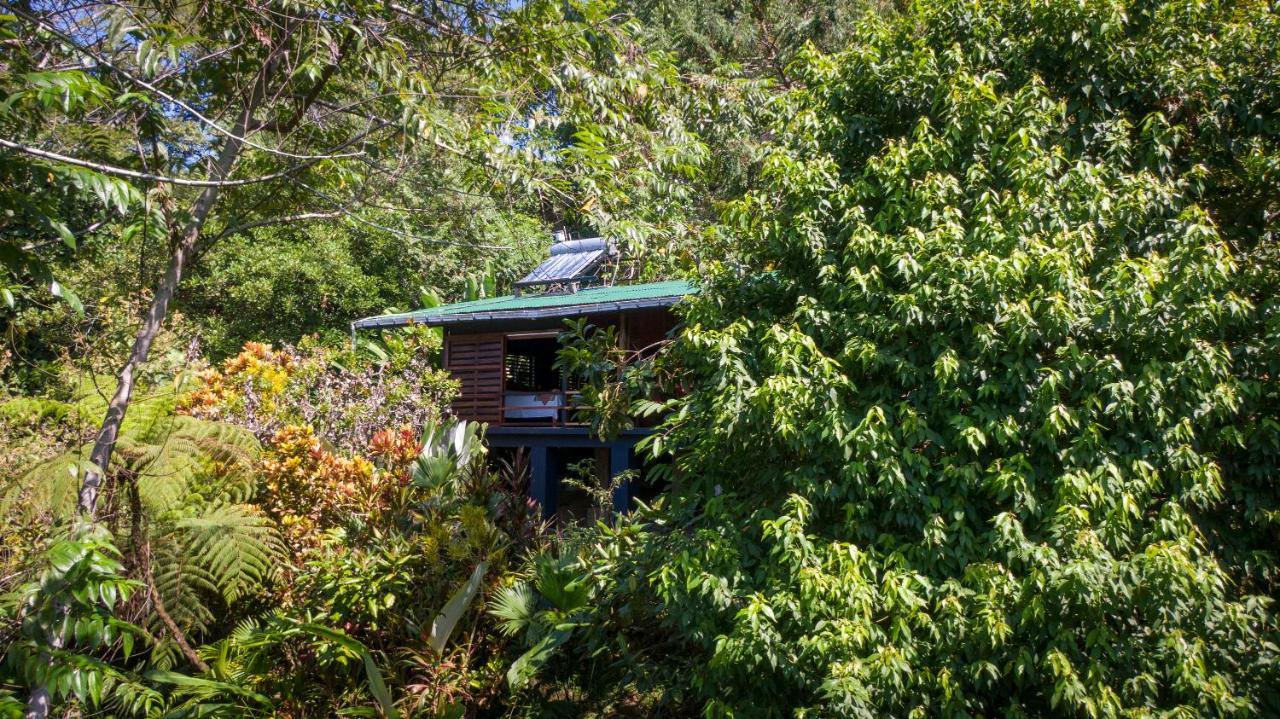 Tiskita Jungle Lodge パボネス エクステリア 写真
