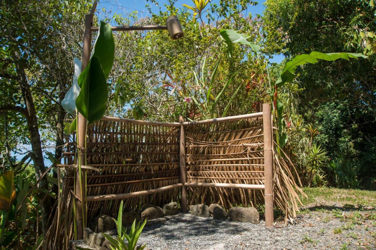 Tiskita Jungle Lodge パボネス エクステリア 写真