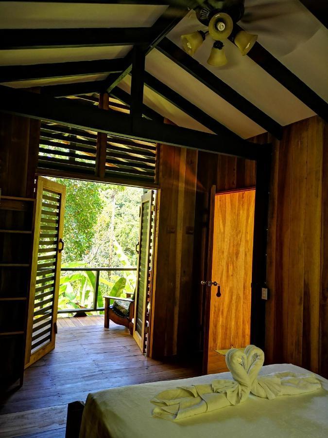 Tiskita Jungle Lodge パボネス エクステリア 写真