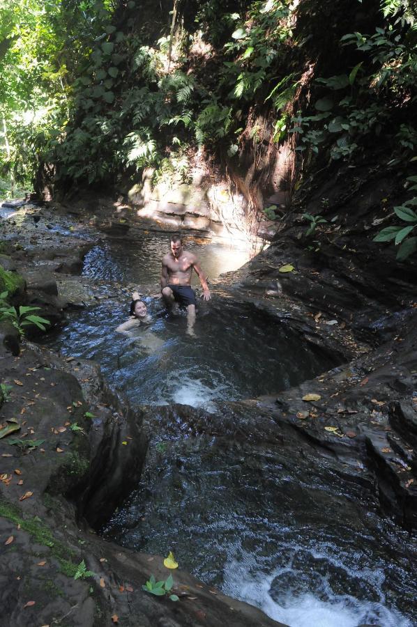 Tiskita Jungle Lodge パボネス エクステリア 写真
