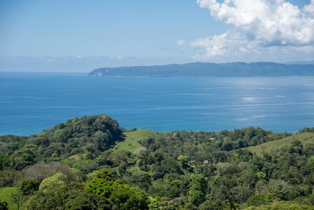 Tiskita Jungle Lodge パボネス エクステリア 写真