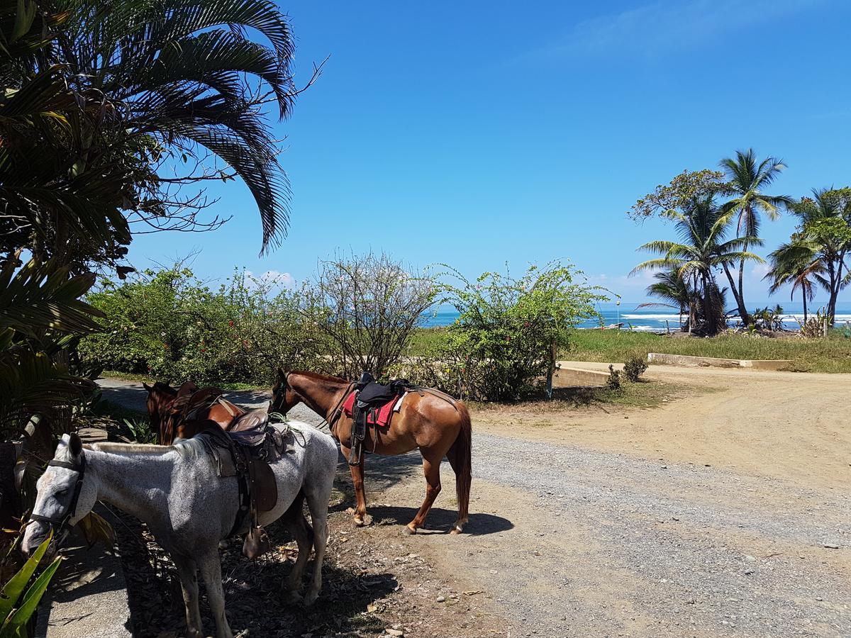 Tiskita Jungle Lodge パボネス エクステリア 写真