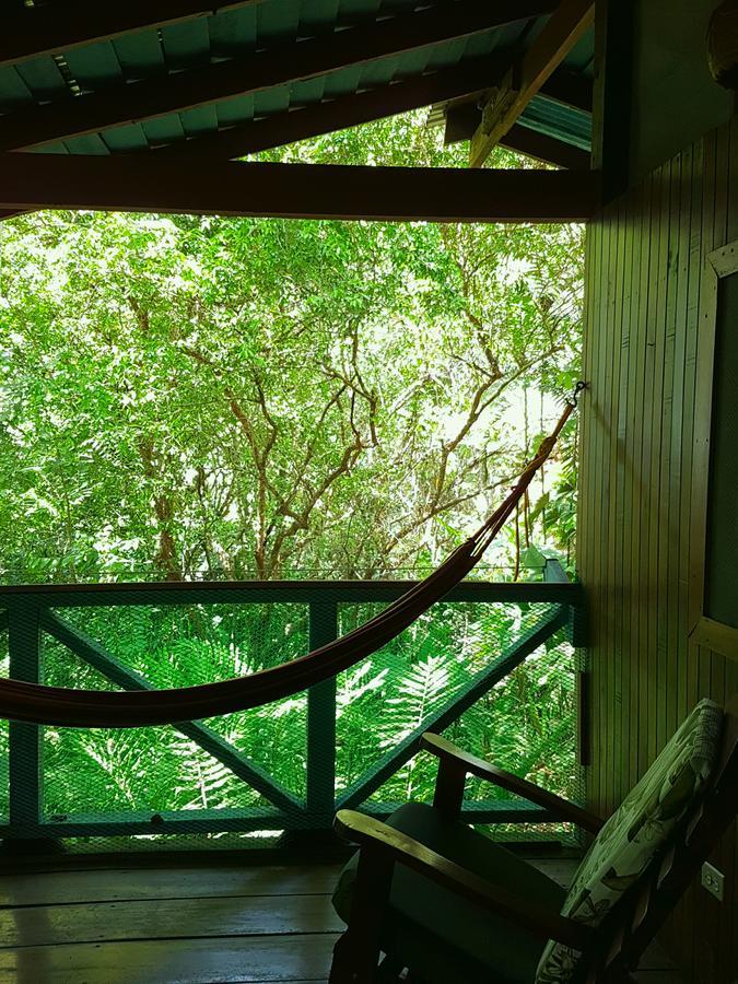 Tiskita Jungle Lodge パボネス エクステリア 写真