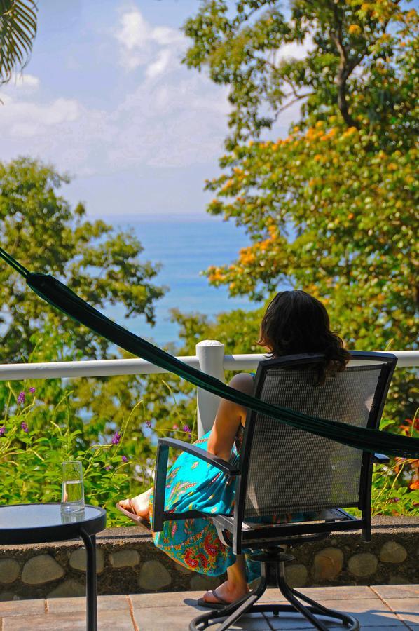Tiskita Jungle Lodge パボネス エクステリア 写真