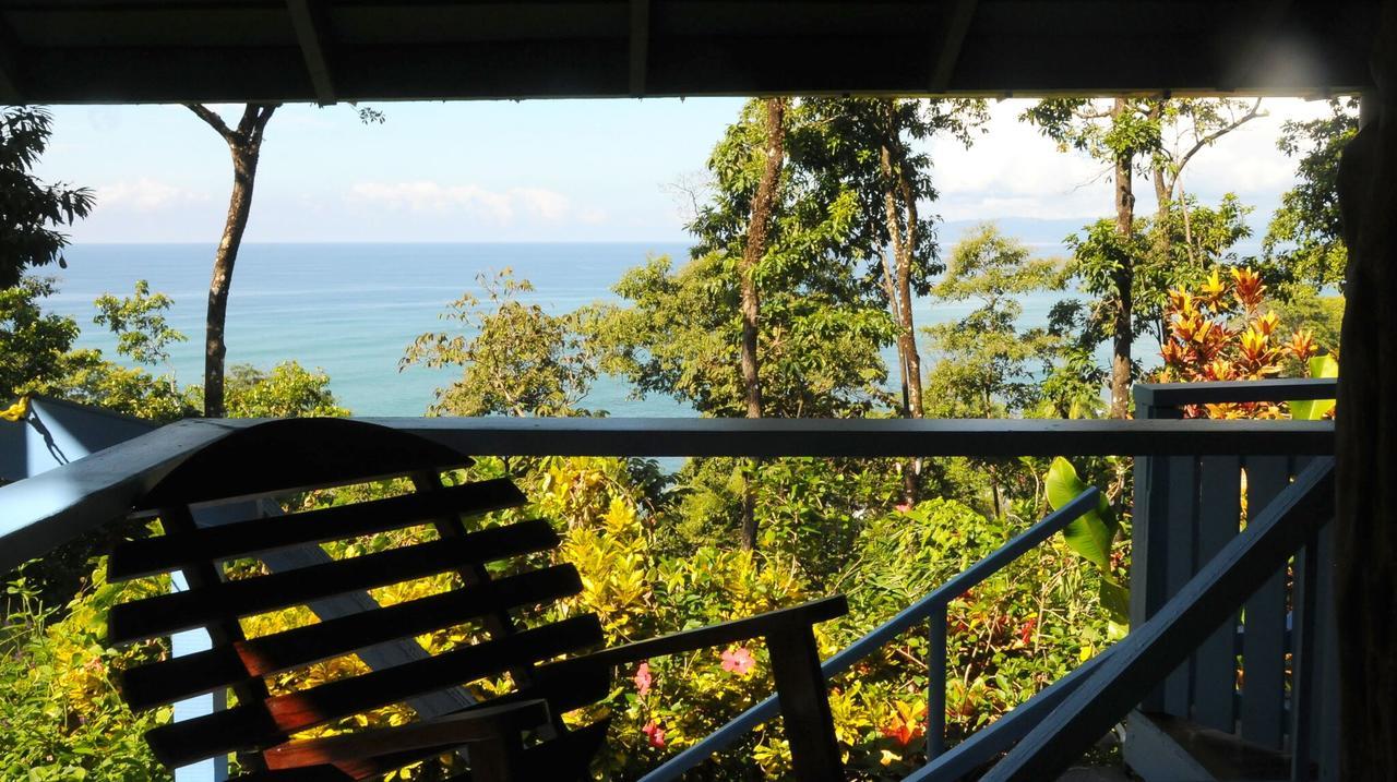 Tiskita Jungle Lodge パボネス エクステリア 写真